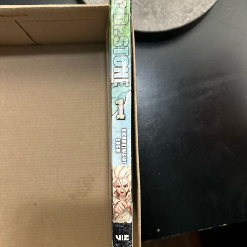 Dr. STONE, Vol. 1