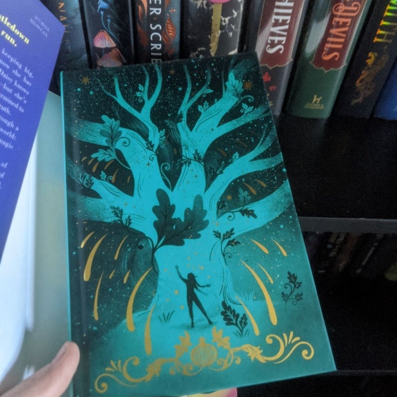 Middlegrade hardcover bundle