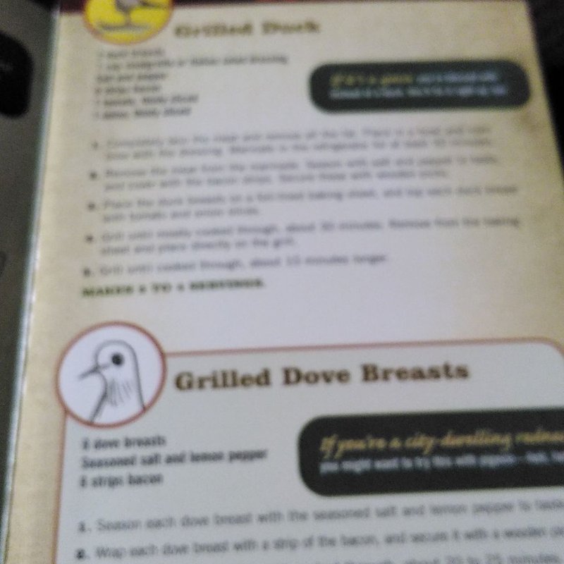 The Redneck Grill by Jeff Foxworthy