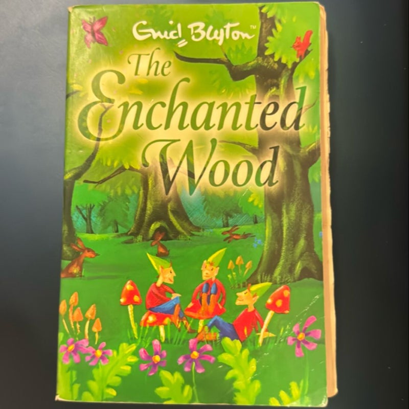 The Enchanted Wood