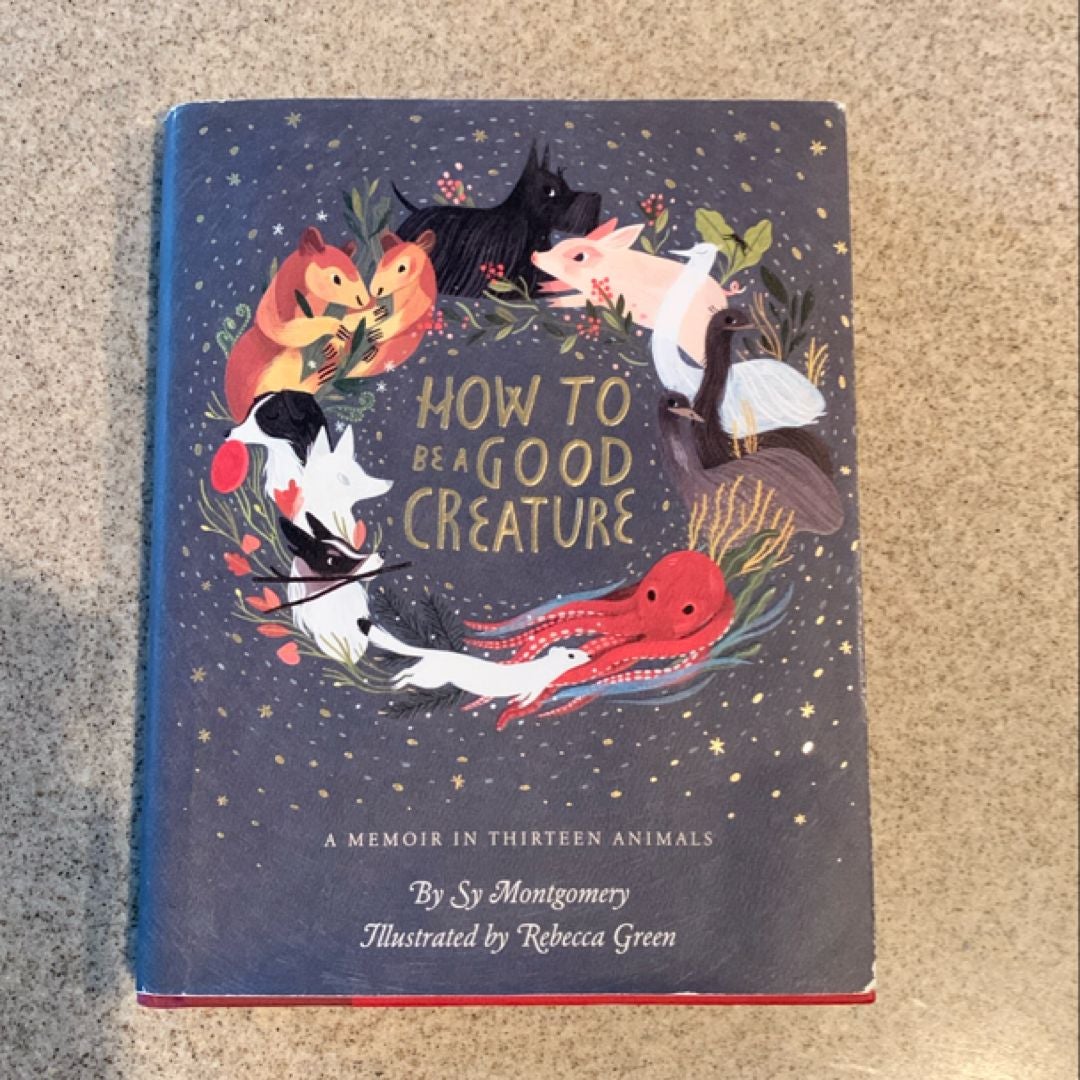 Sale image for 4307ef6e-73a4-486f-9b6a-245c9f42bcbd-Ou3D0tjr2NP53UFmgloeTE472yk2