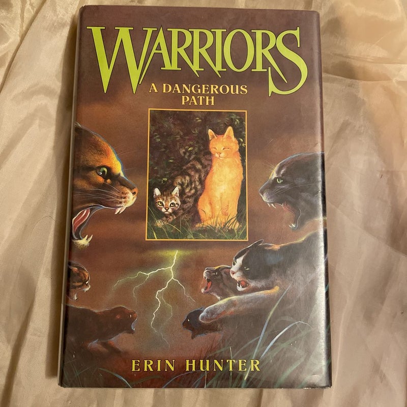 Warriors A Dangerous Path Book