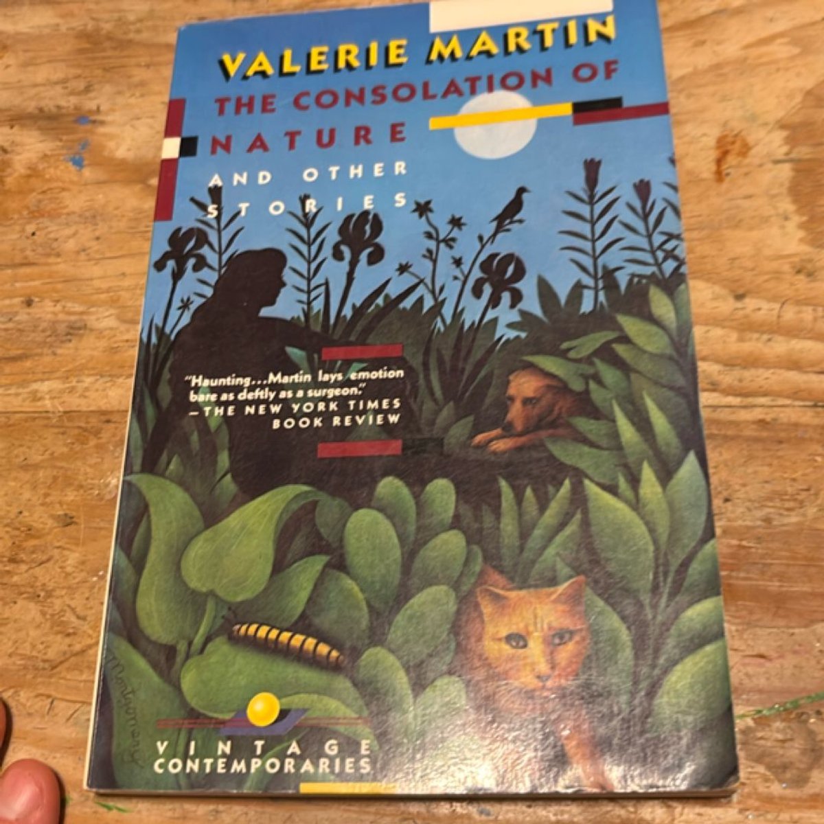 The Consolation of Nature and Other Stories by Valerie Martin
