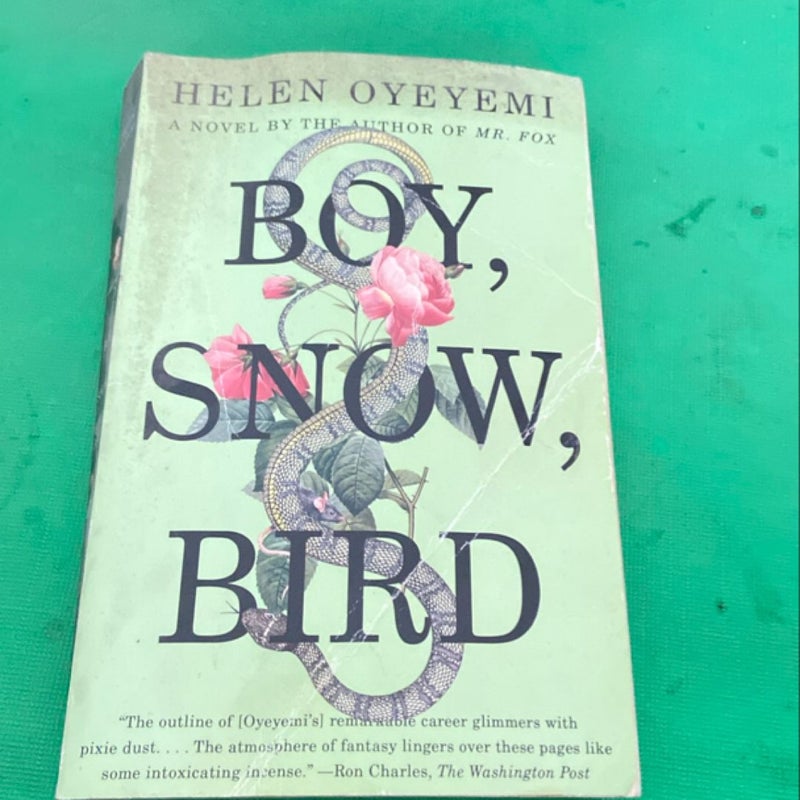 Boy, Snow, Bird