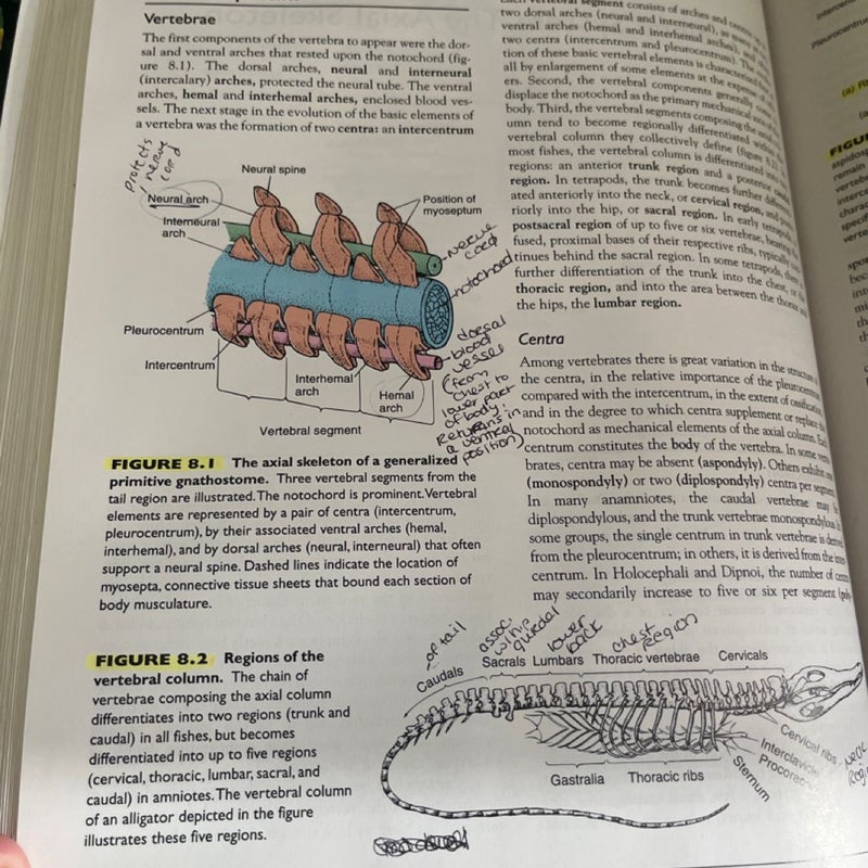 Vertebrates: Comparative Anatomy, Function, Evolution