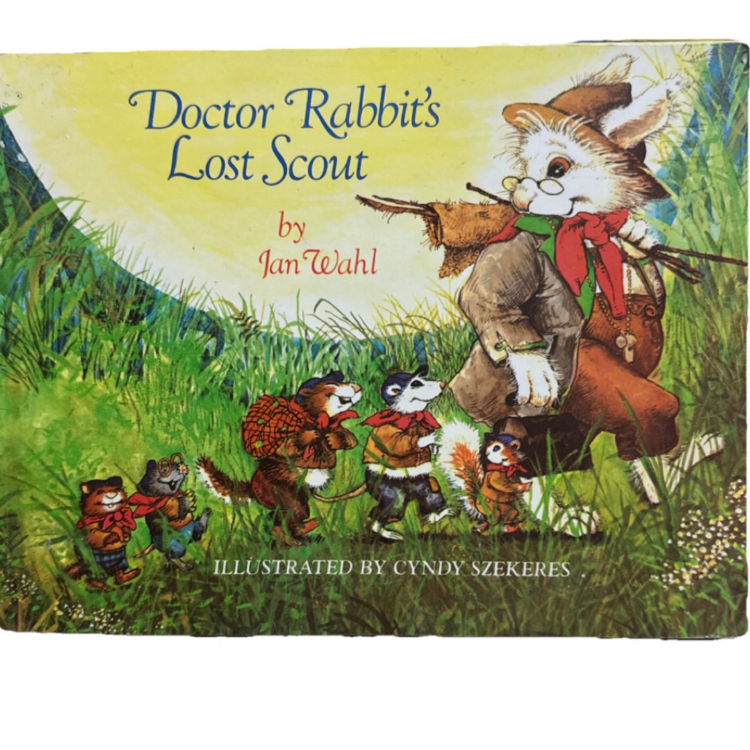 Doctor Rabbit's Lost Scout