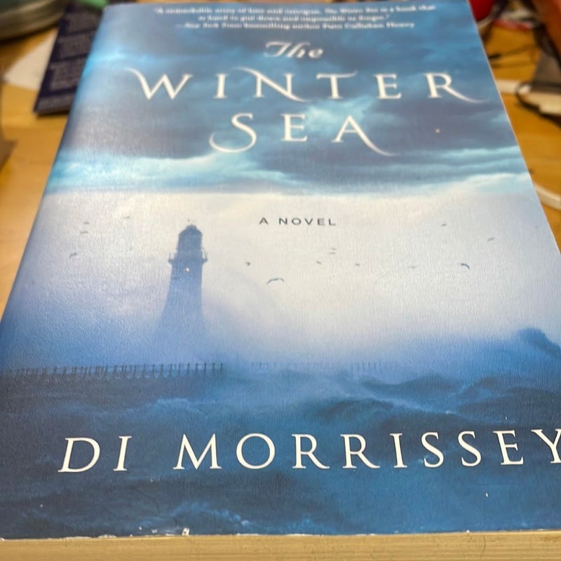 The Winter Sea