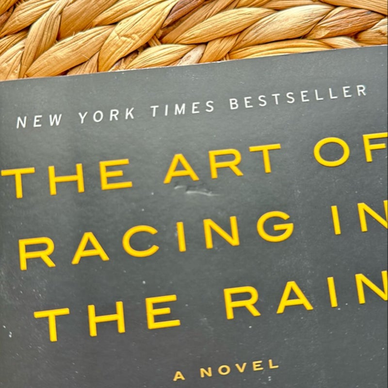 The Art of Racing in the Rain