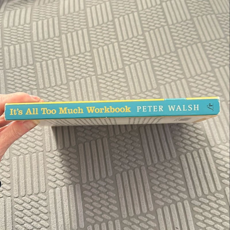 It's All Too Much Workbook