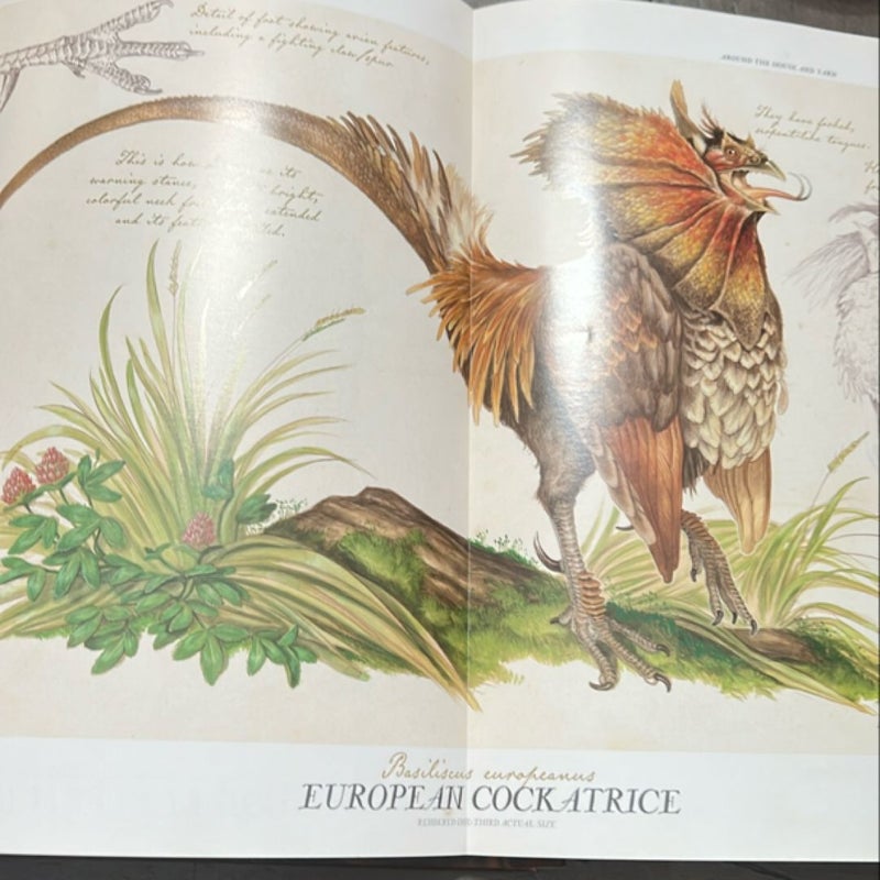 Arthur Spiderwick's Field Guide to the Fantastical World Around You