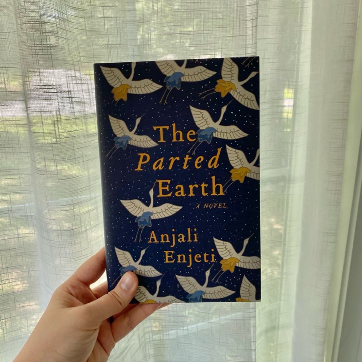 The Parted Earth by Anjali Enjeti