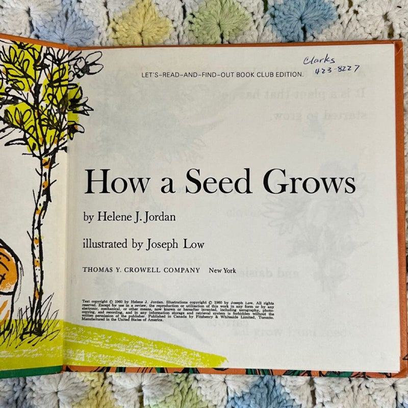 How A Seed Grows 