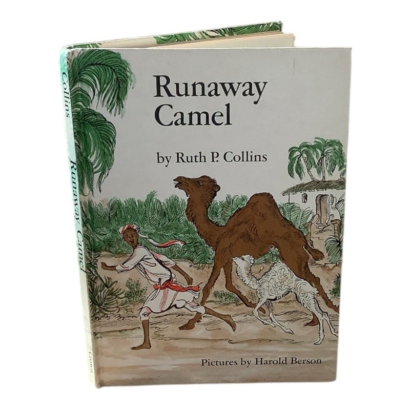 Runaway Camel