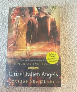 City of Fallen Angels