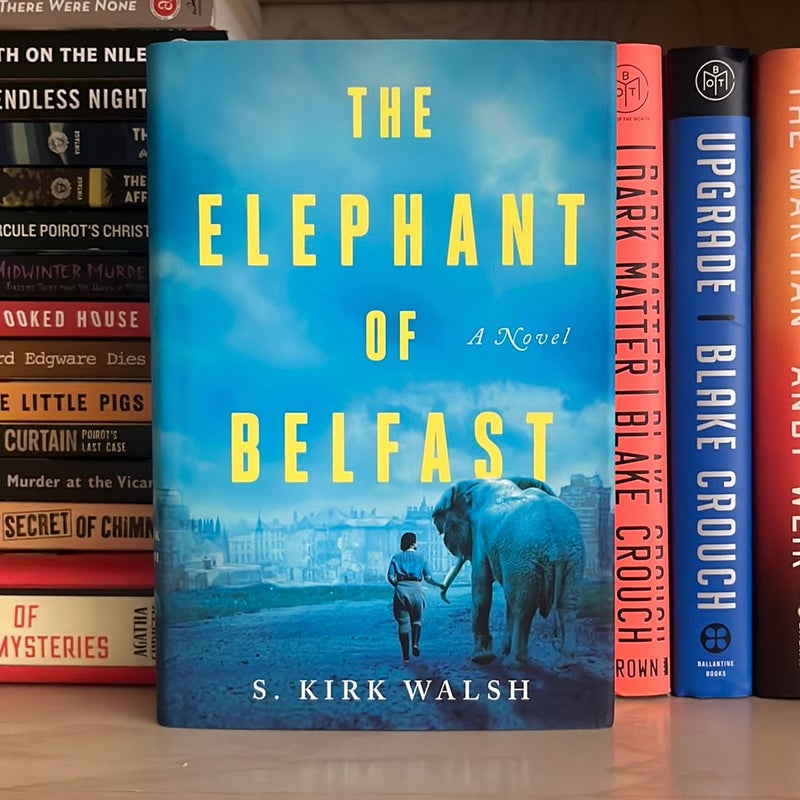 The Elephant of Belfast