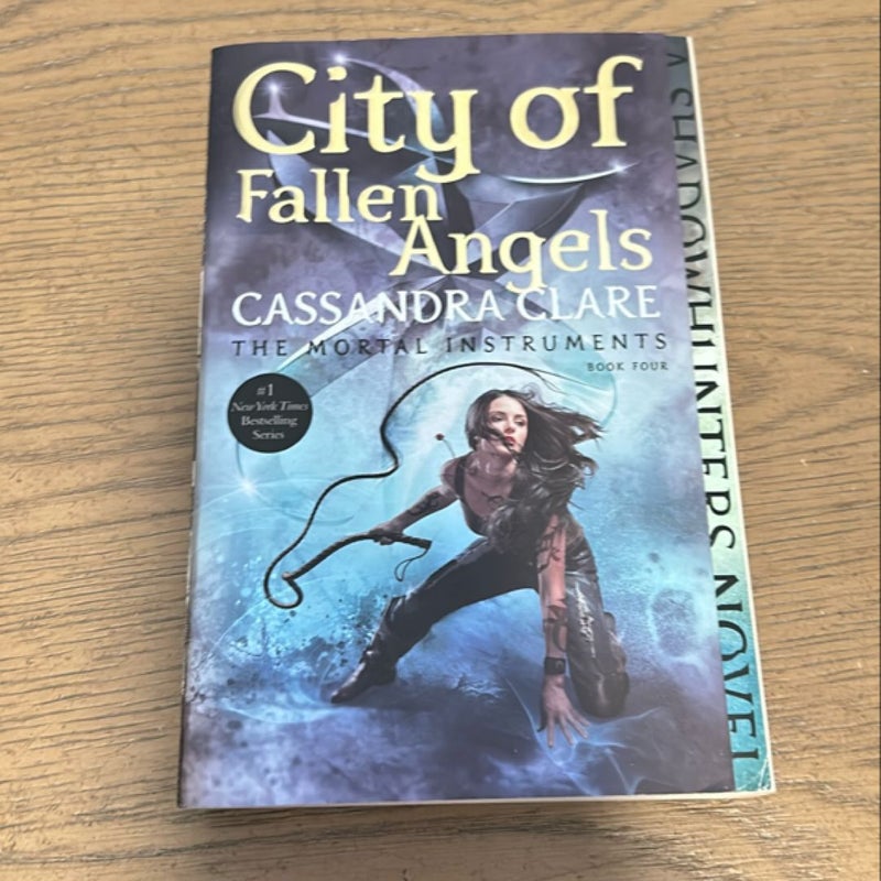 City of Fallen Angels