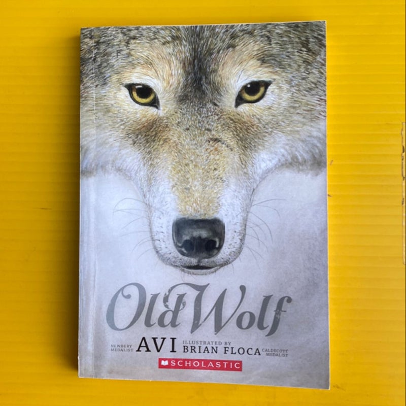 Old Wolf