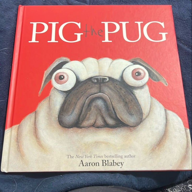 Pig the pug