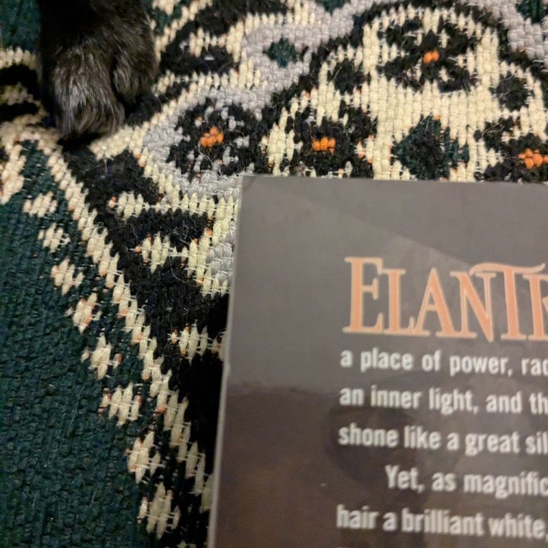 Elantris