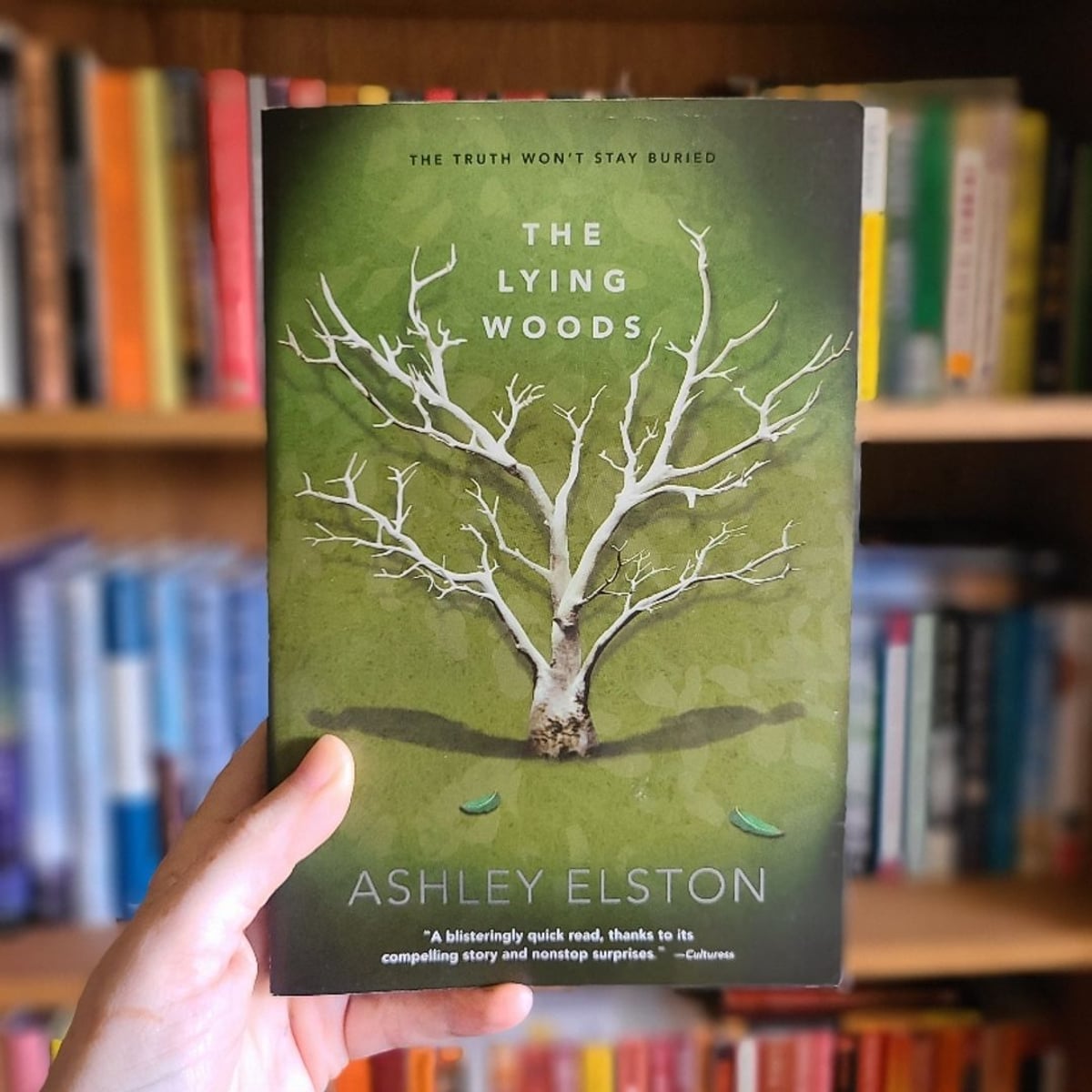 The Lying Woods by Ashley Elston, Paperback | Pangobooks