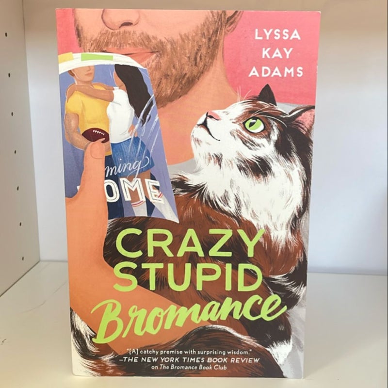 Crazy Stupid Bromance