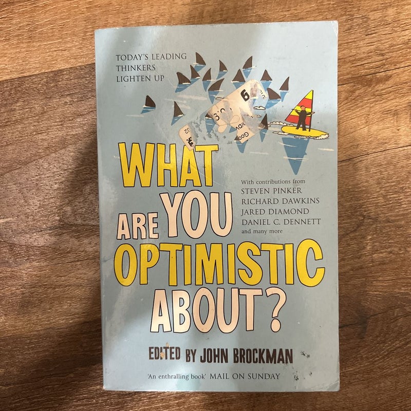What Are You Optimistic About?