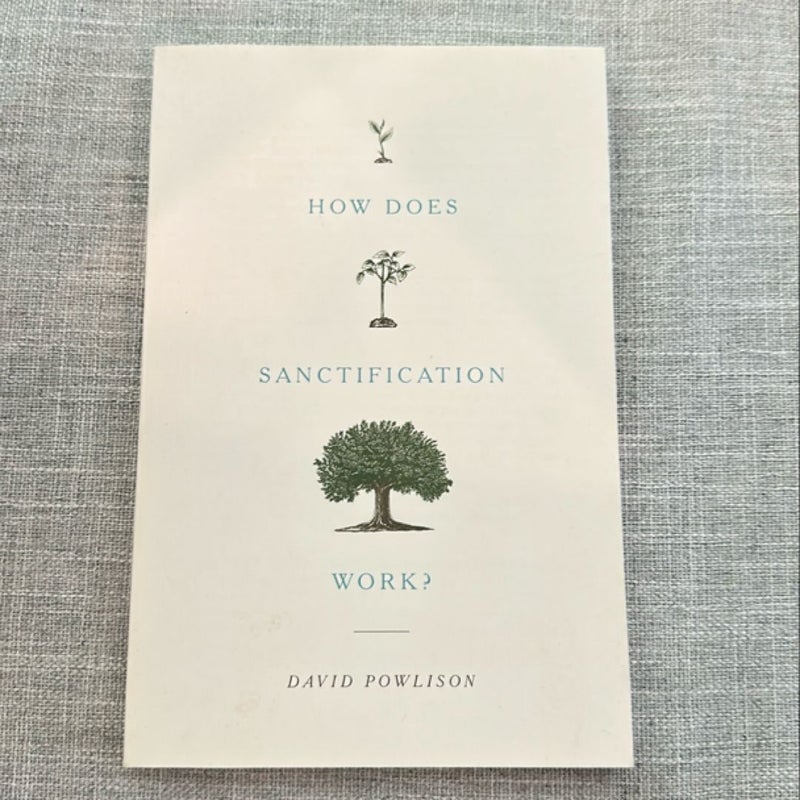 How Does Sanctification Work?