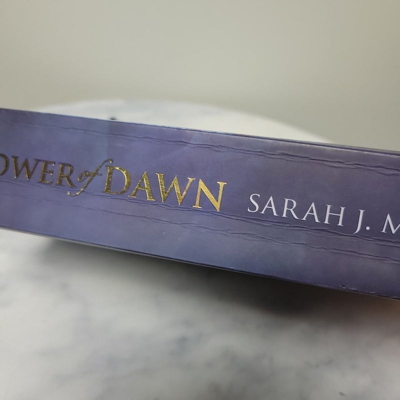Tower of Dawn | UK Paperback OOP Out of Print