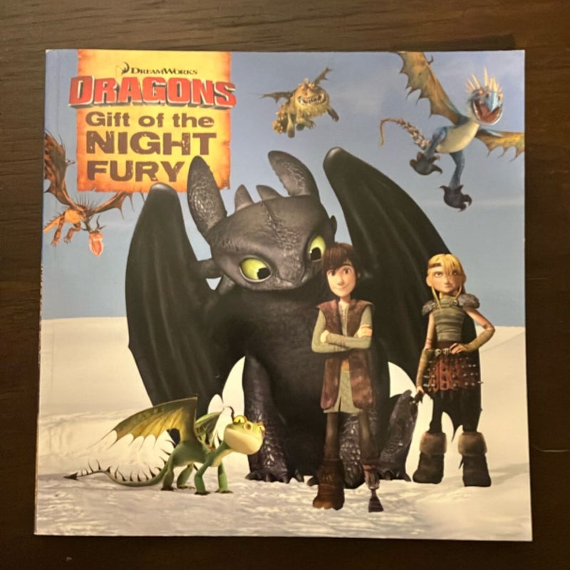 Dragons Gift of the Night Fury