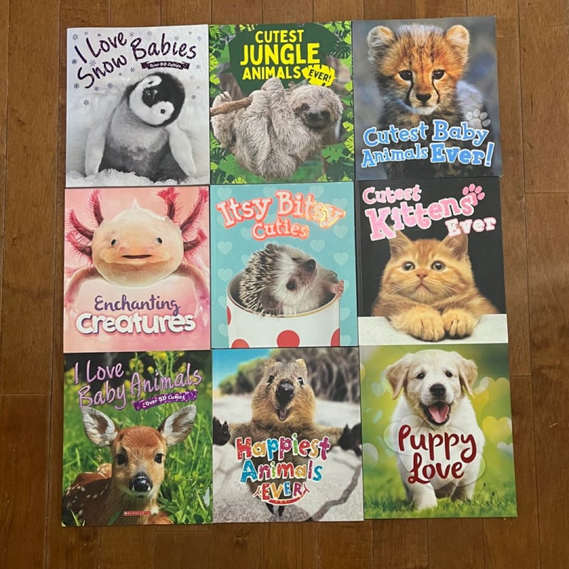 Animal Book Bundle