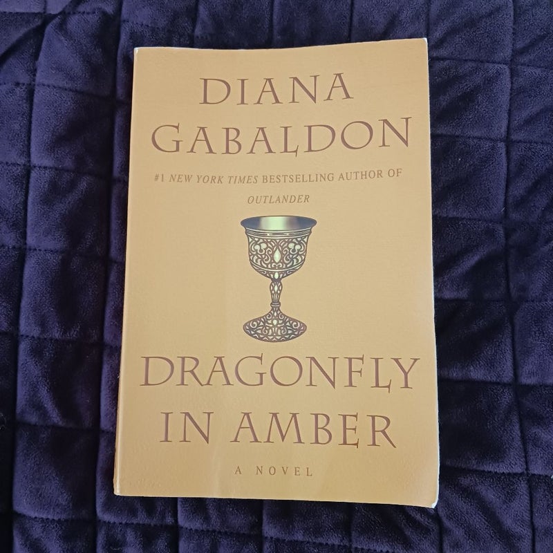 Dragonfly in Amber