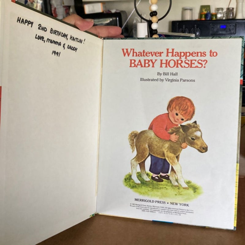 Whatever Happens to Baby Horses?