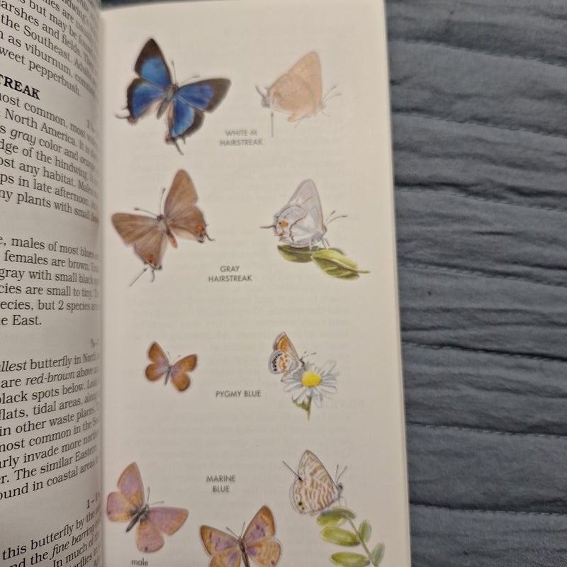 Peterson First Guide to Butterflies and Moths