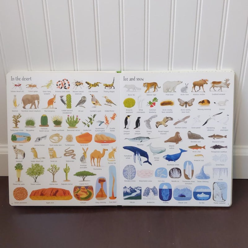 Usborne 1,000 Things in Nature