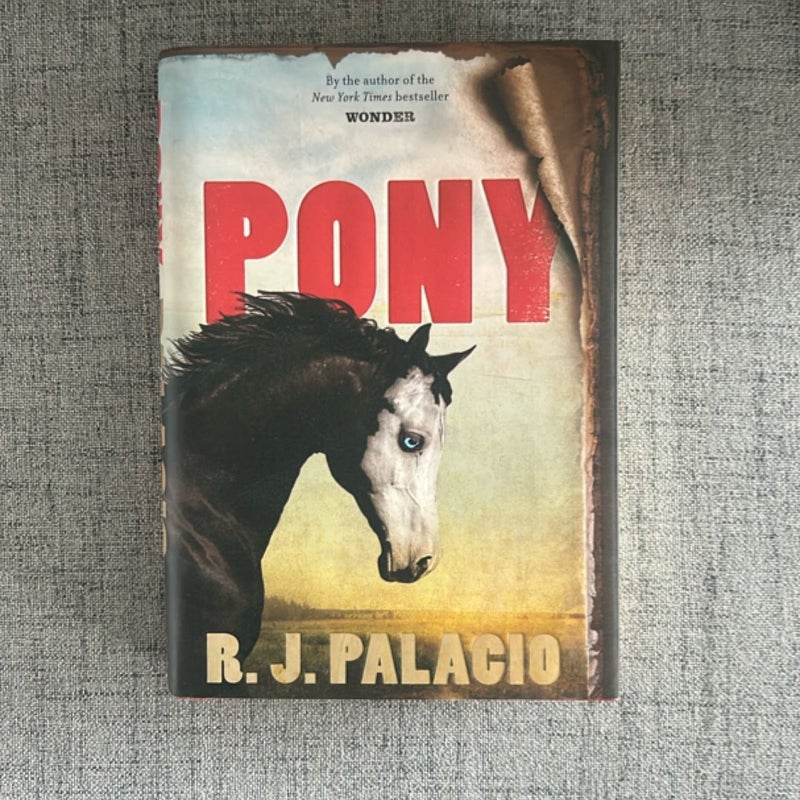 Pony