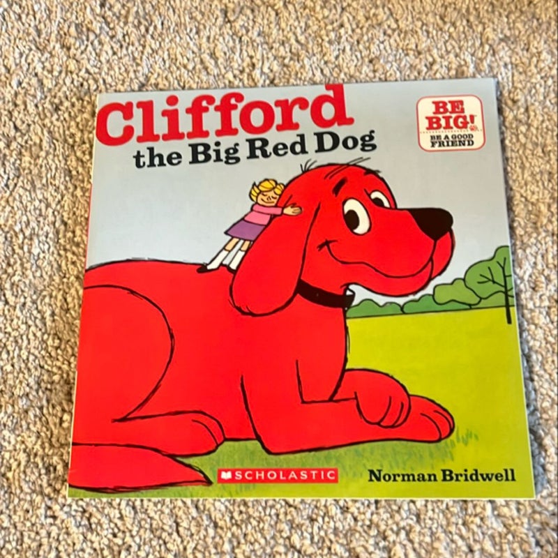 Clifford Bundle