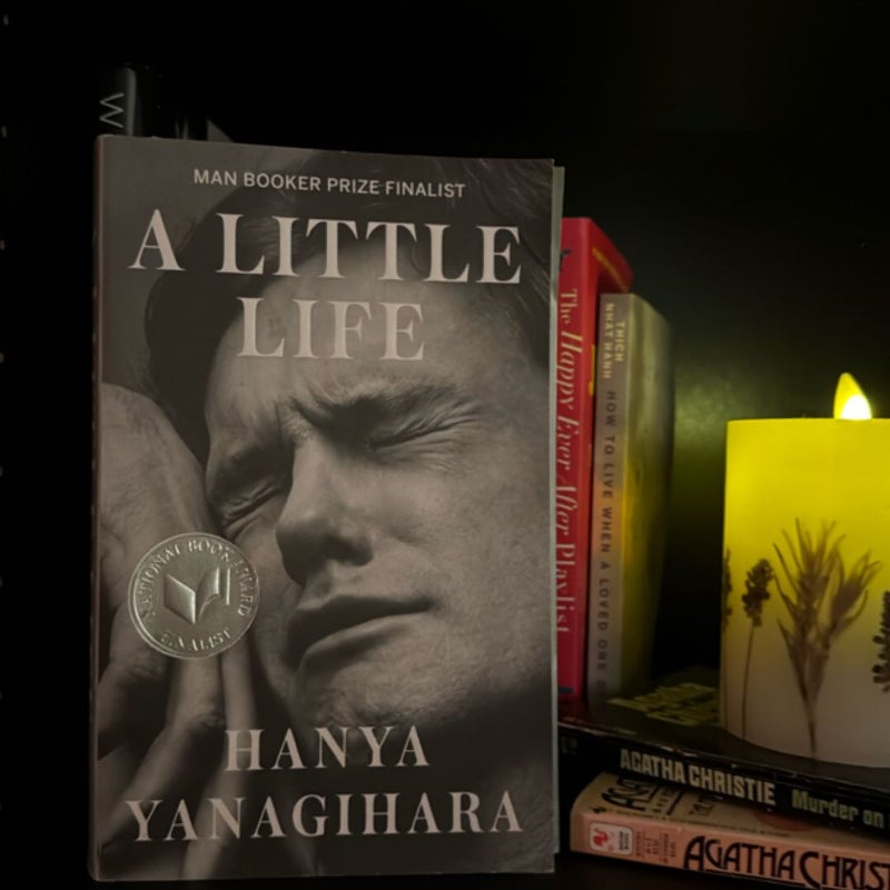 A Little Life