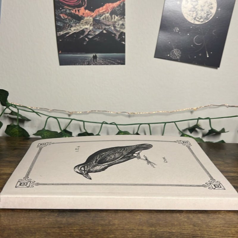 Crow Notebook