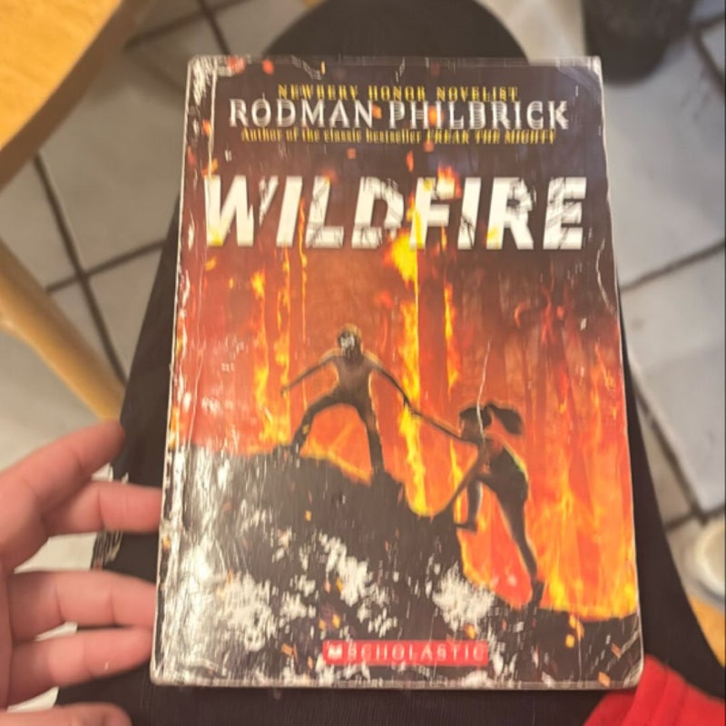 Wildfire