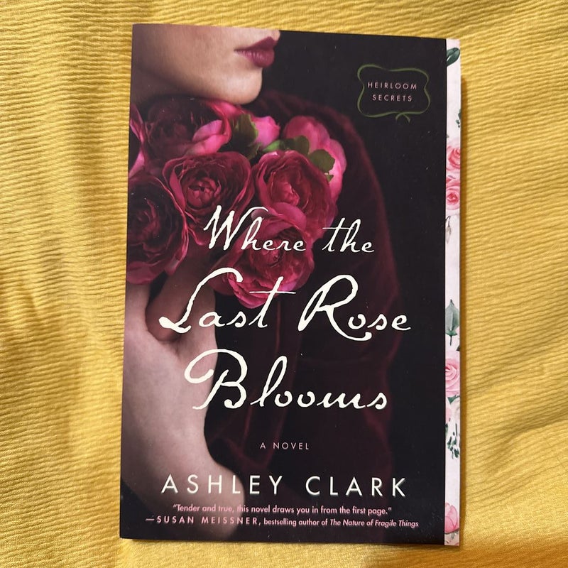 Where the Last Rose Blooms