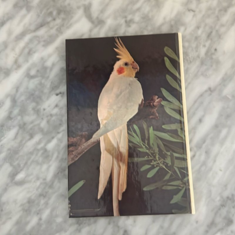 Taming and Training Cockatiels