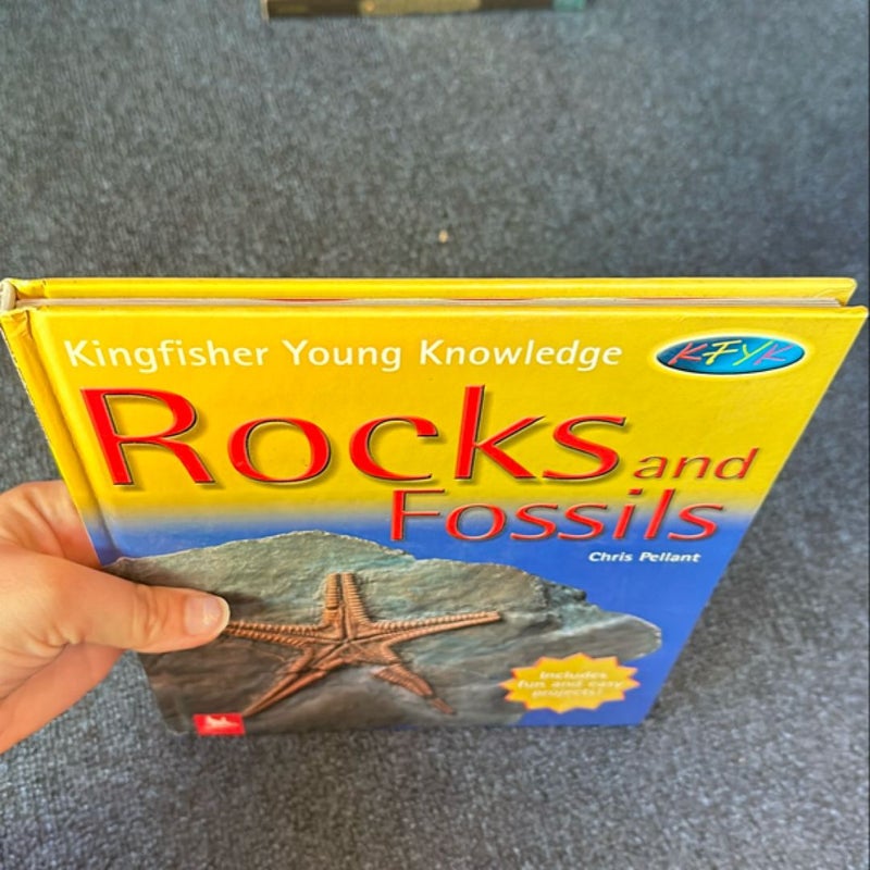 Rocks and Fossils