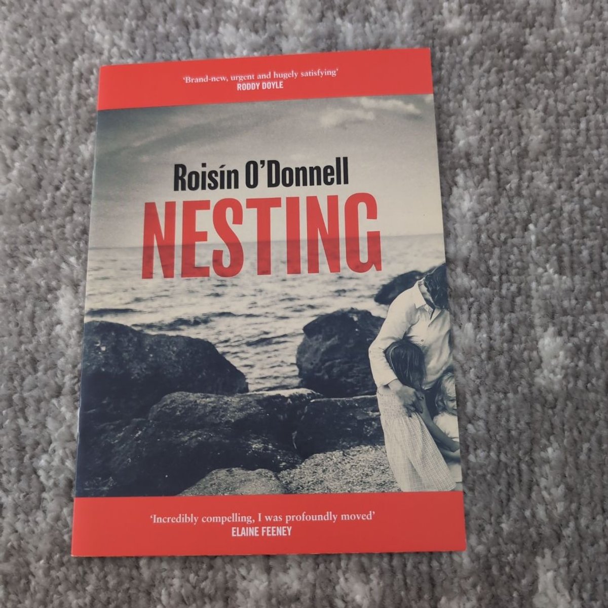Nesting by Roisin O'Donnell
