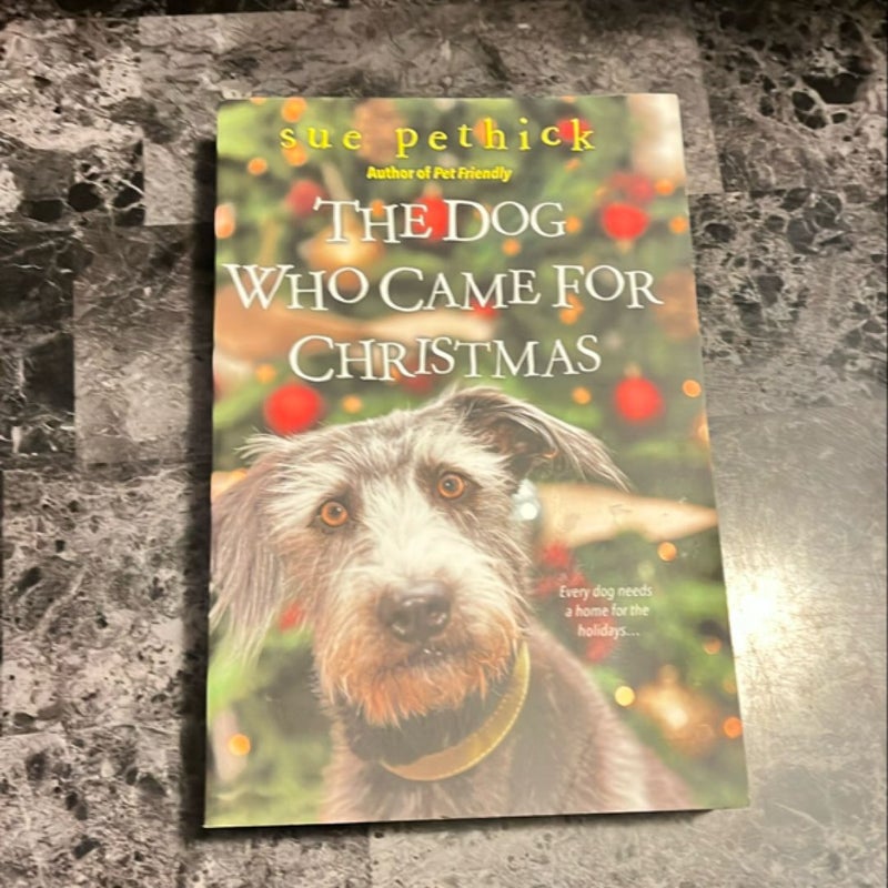 The Dog Who Came for Christmas