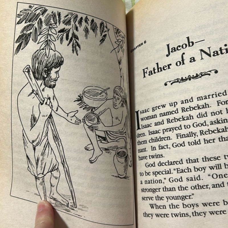 Illustrated Classics Bible Stories