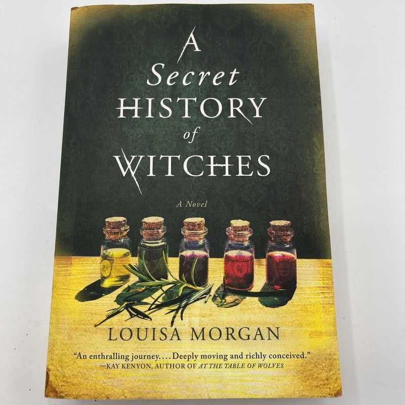 A Secret History of Witches