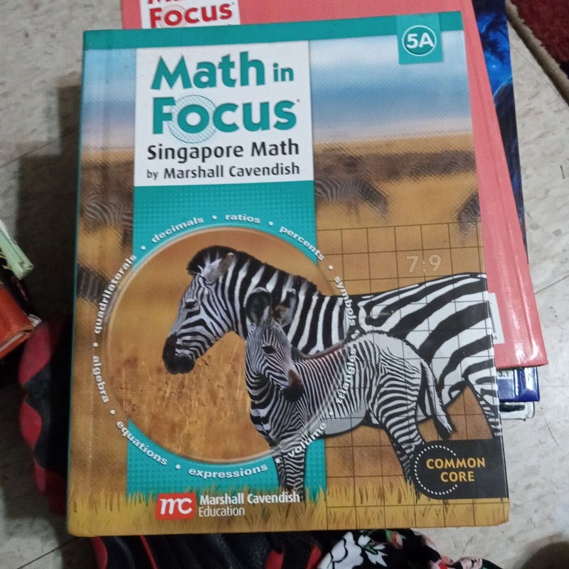 Math in Focus: Singapore Math