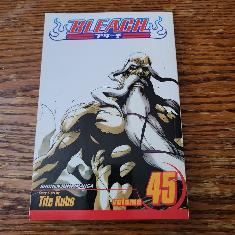 Bleach, Vol. 45