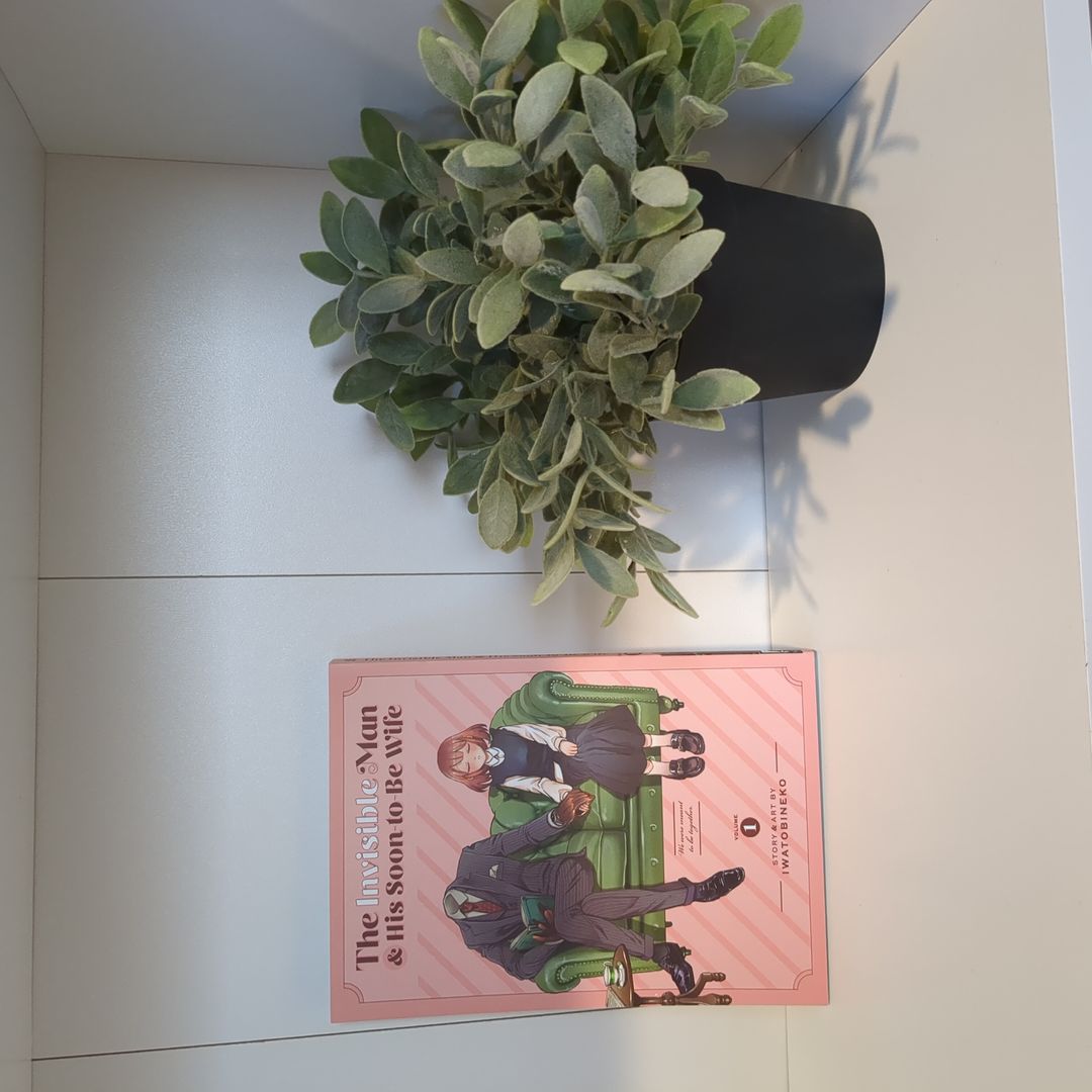 The Invisible Man and His Soon-To-Be Wife Vol. 1