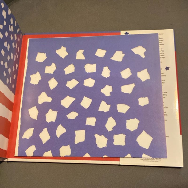 I Pledge Allegiance